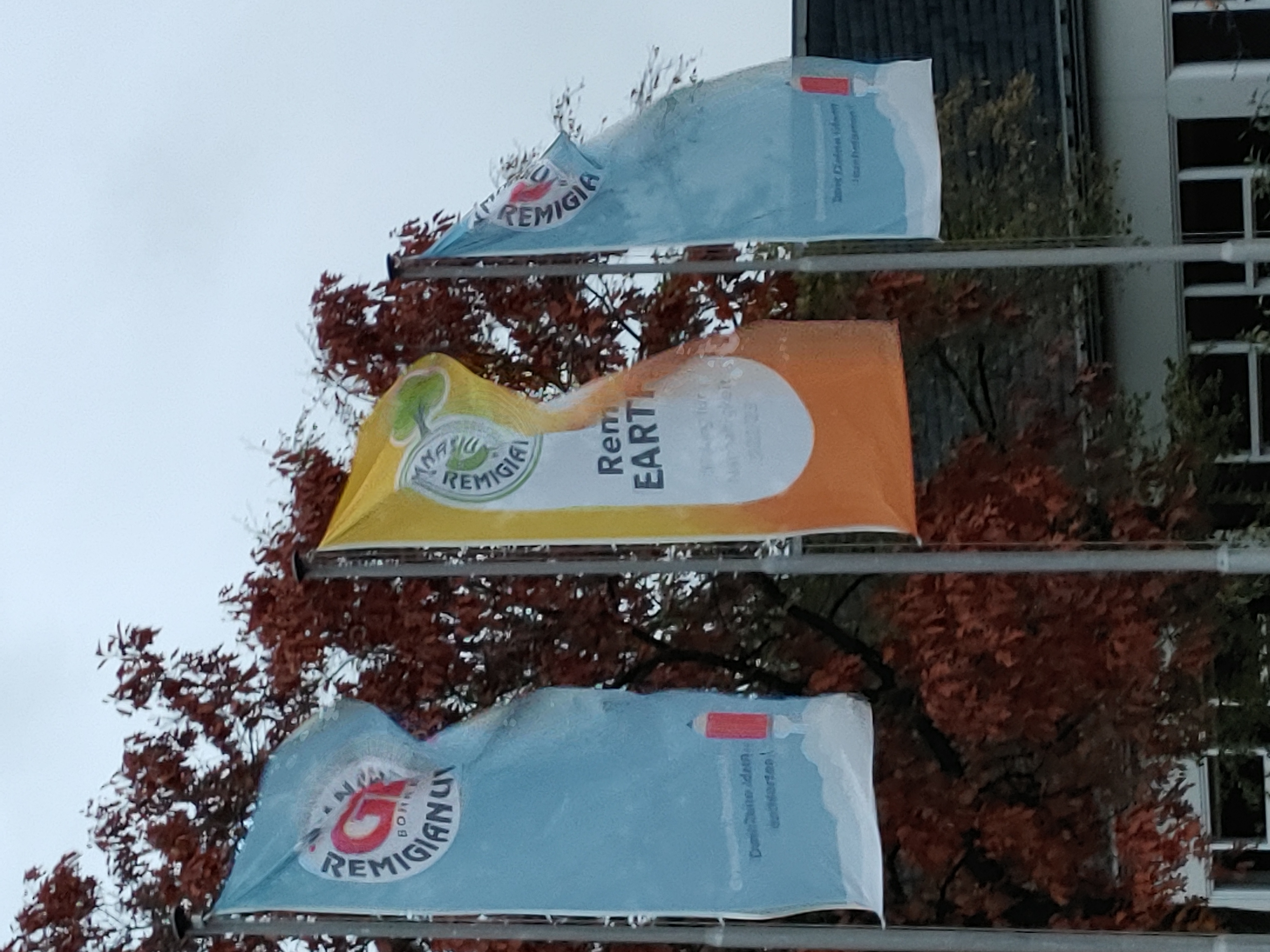 Die RemiEarth Flagge vor unserem Schulgebäude